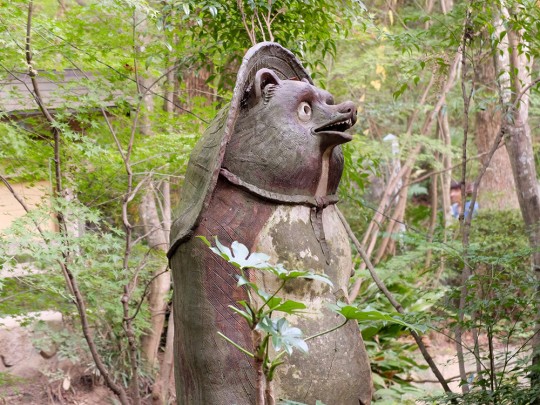 Tanuki à Mitaki