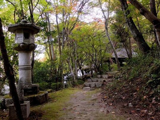 Chemin à Mitaki