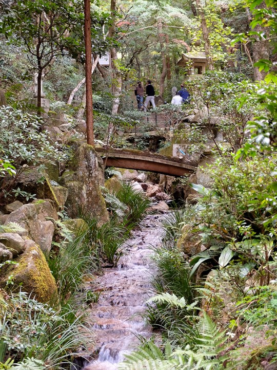 Rivière de Mitaki