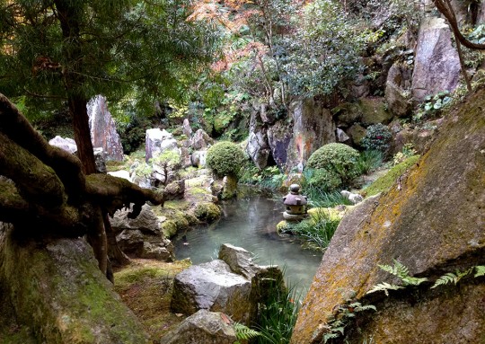 Jardin japonais à Mitaki