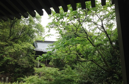 Mitaki