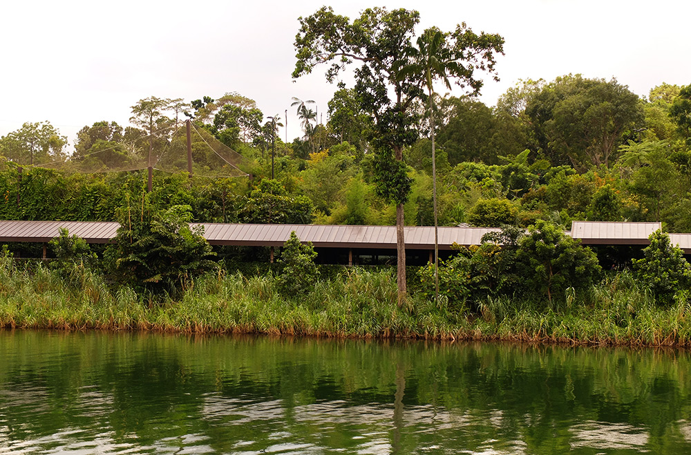 Zoo de Sinagapour