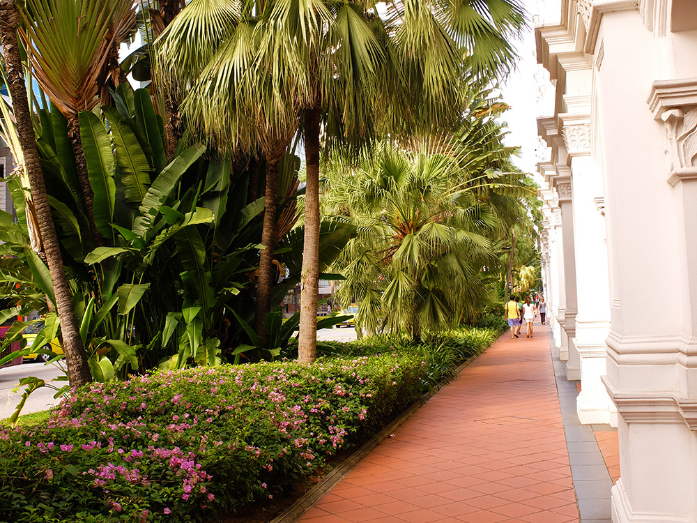 Victoria Street Singapour