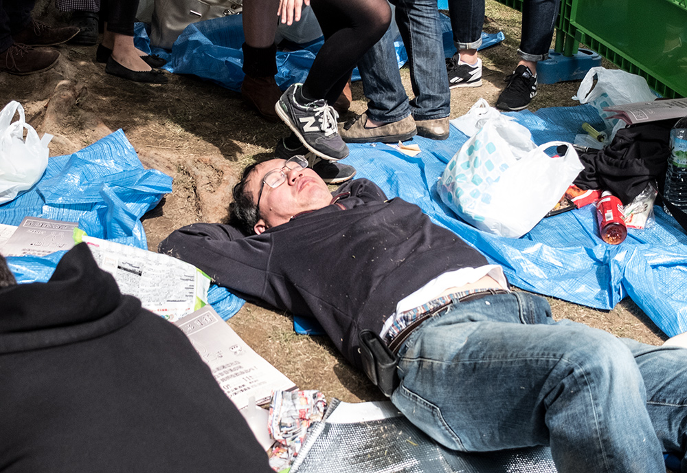 japonais bourré, saké matsuri