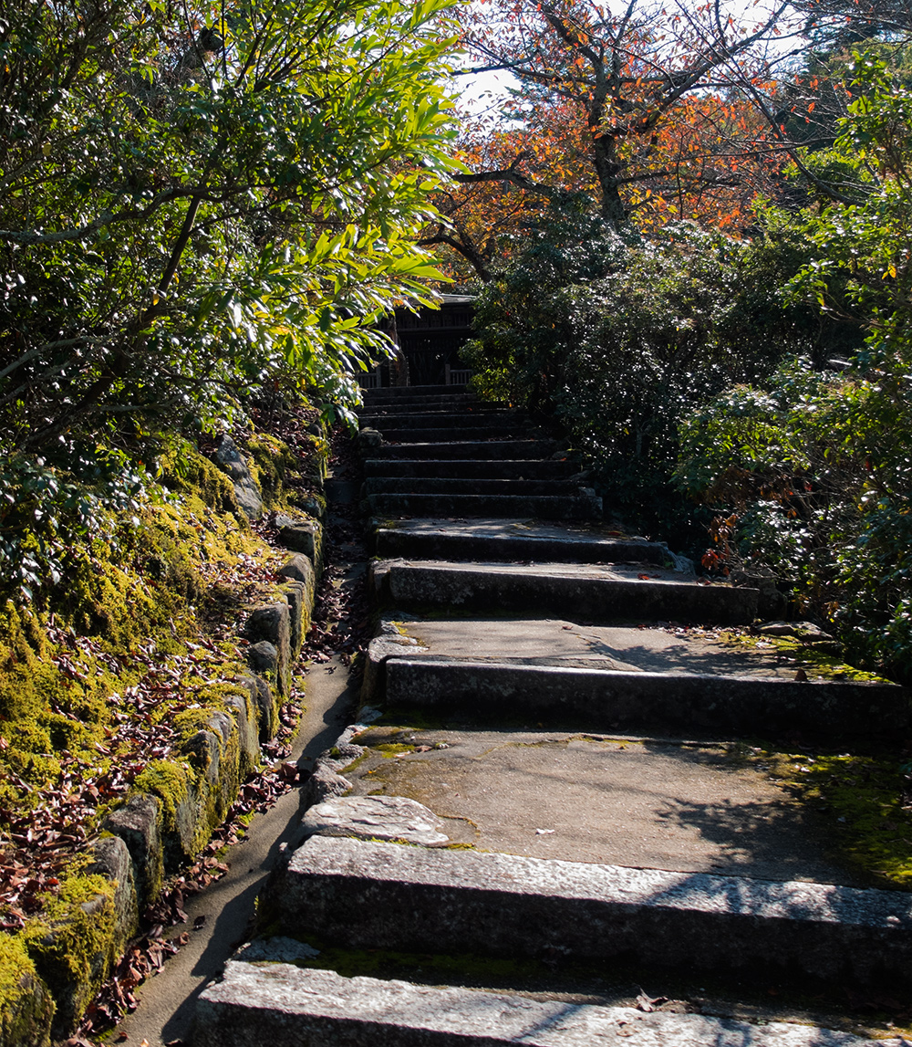 Escaliers menant à la pagode Tahōtō　多宝塔