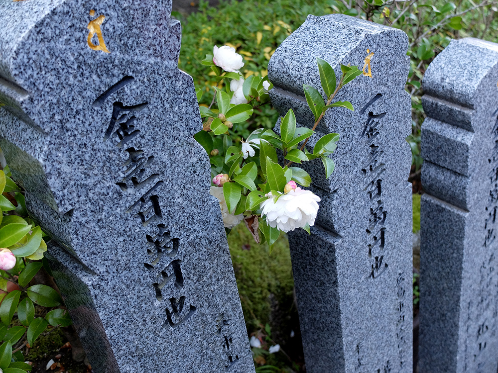 Temple Daisho-in, Miyajima