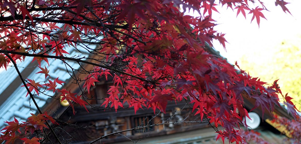 Pavillon Maniden, Daisho-in, Miyajima