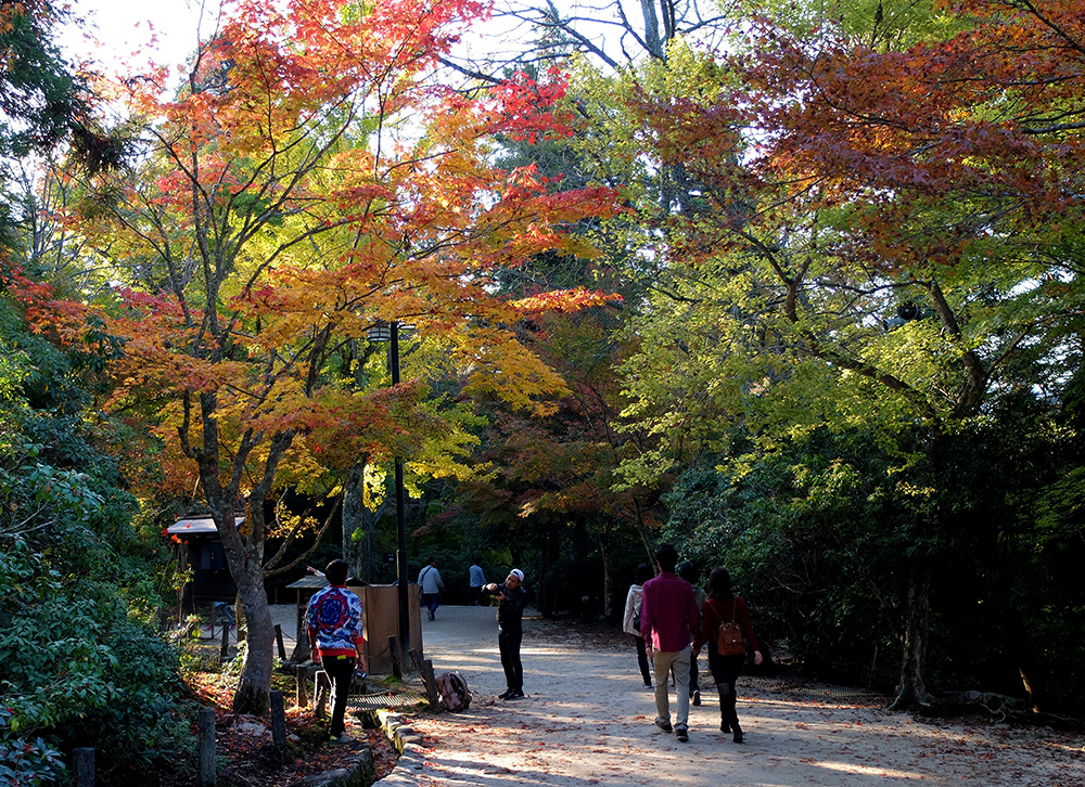 Parc Momijidani, Miyajima