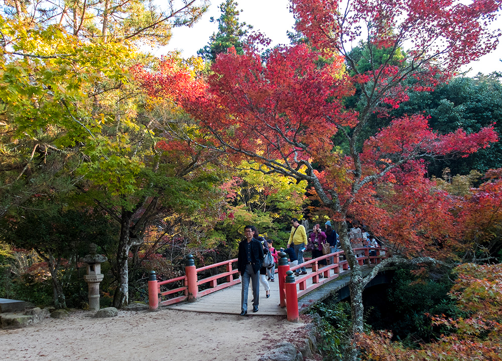 Parc Momijidani, Miyajima