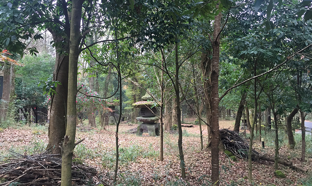 Yufuin, préfecture d'OIta, Kyushu
