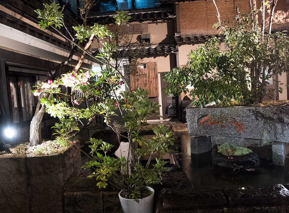 Jardin intérieur dans le quartier de Kyomoto-chō　清本町