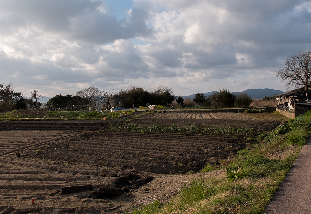 champs dans la préfecture de Shimane