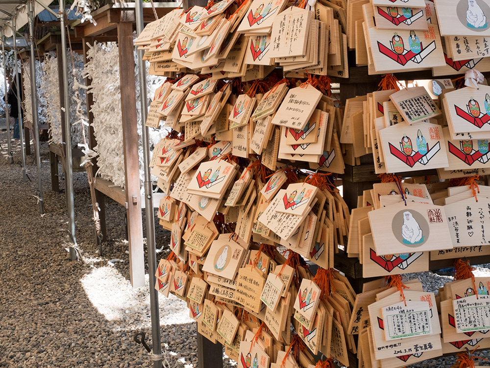 omikuji et plaquettes ema au sanctuaire Izumo Taisha