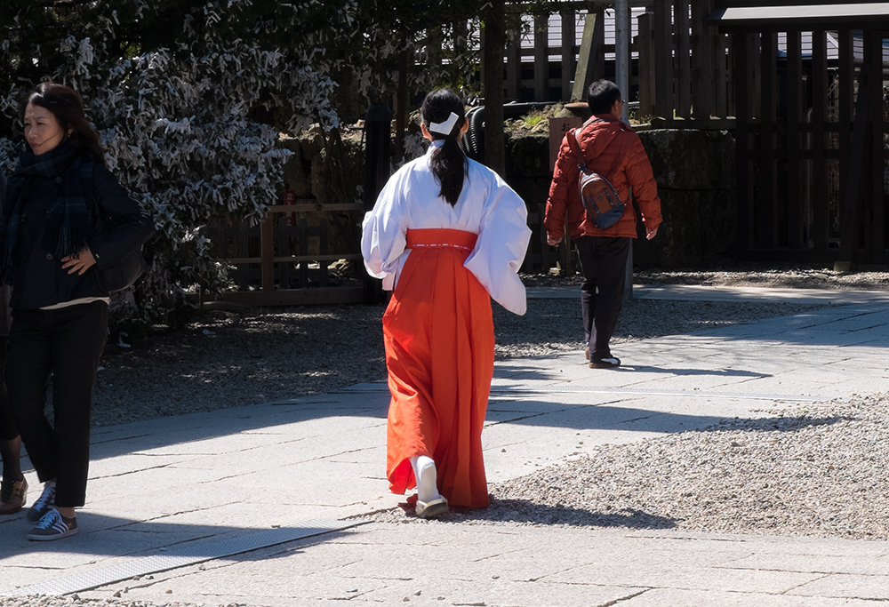 Une miko (巫女) pressée au Snactuaire d'Izumo Taisha