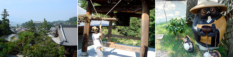Miyajima tanuki