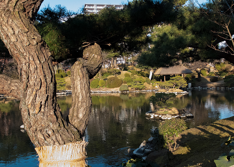 jardin Shukkei-en Hiroshima