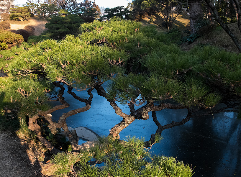 jardin Shukkei-en Hiroshima