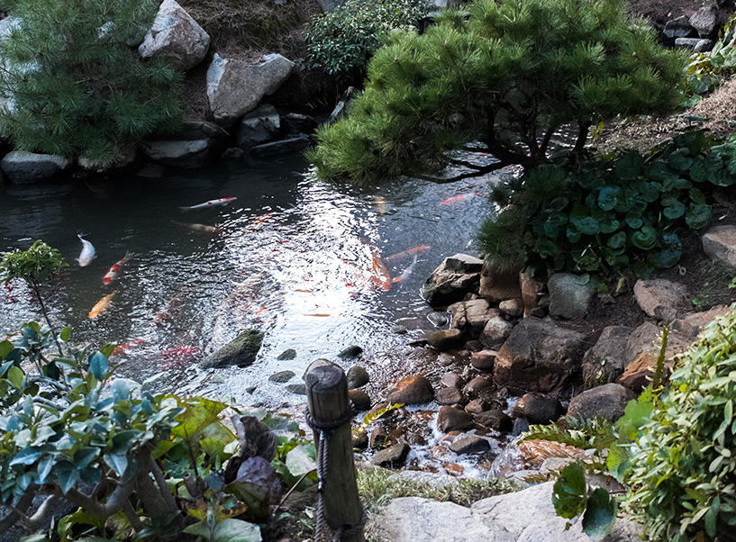 jardin Shukkei-en Hiroshima