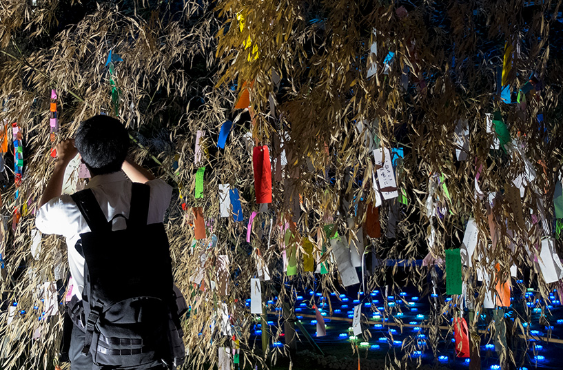 tanzaku sur les branches de bambou pour Tanabata Hiroshima