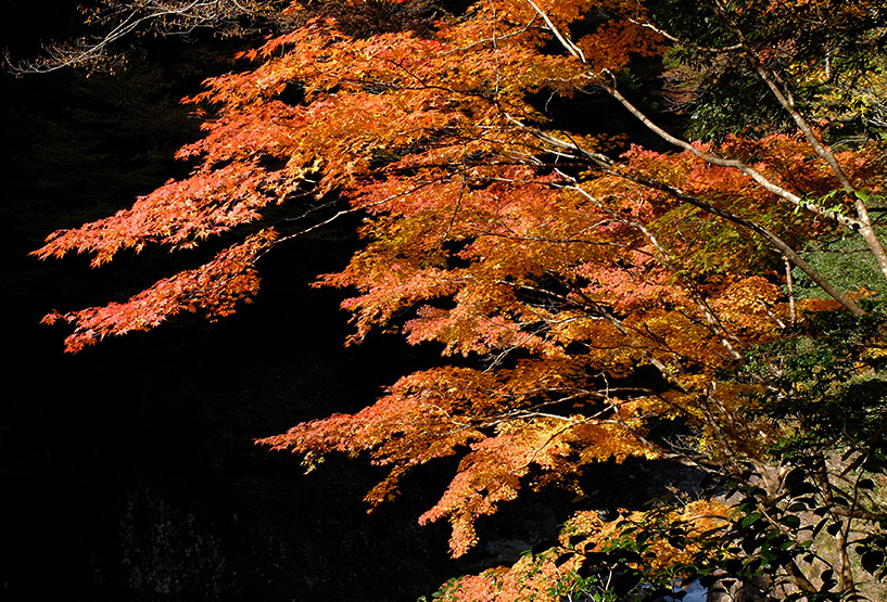 Sandankyo en automne