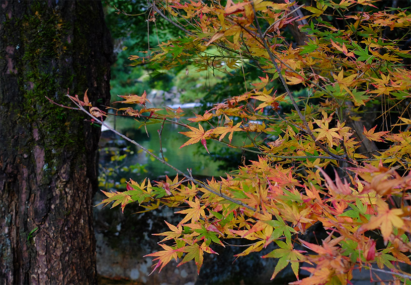 jardin du ryokan Sansuien, Yudaonsen