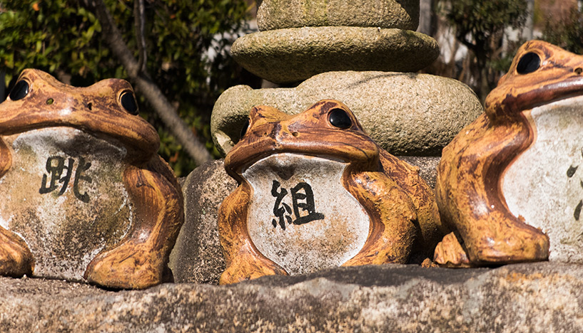 grenouilles du temple Shoko-ji Hiroshima