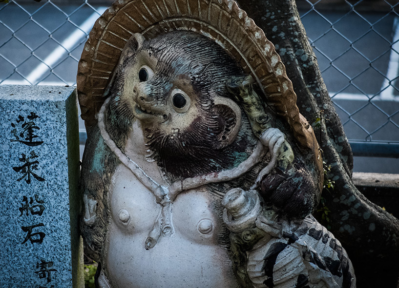 tanuki au temple Shoko-ji