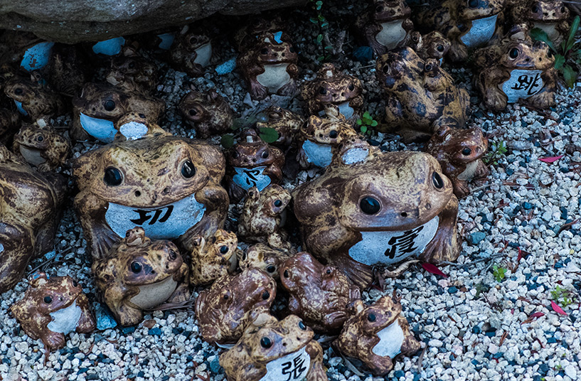 grenouilles du temple Shoko-ji Hiroshima
