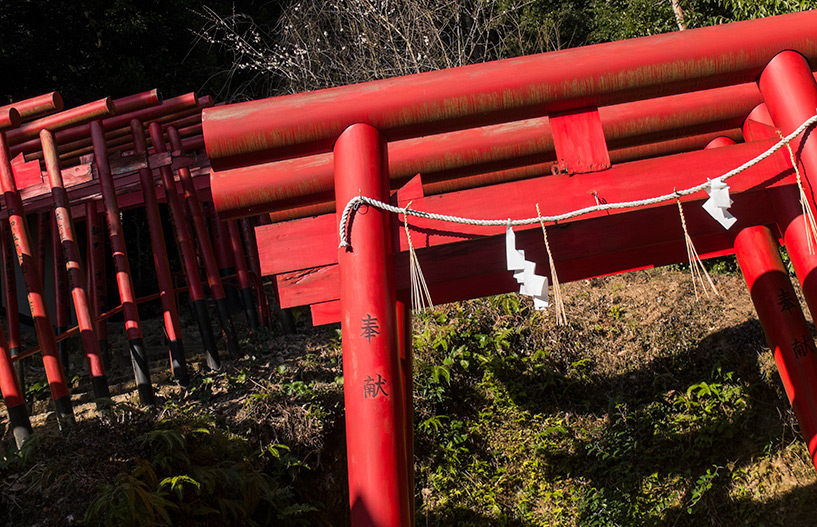 torii rouges du sanctuaire Kinko Inari Hiroshima