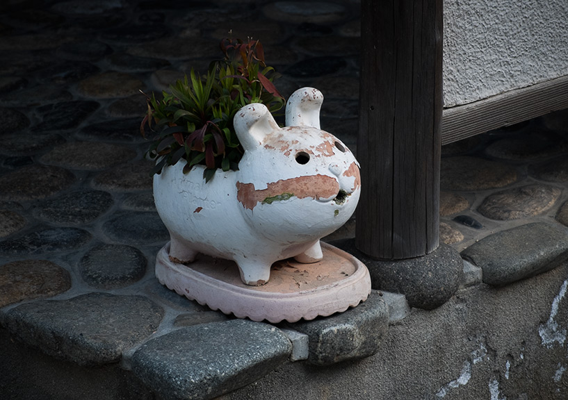 japon pot de fleur kawaii