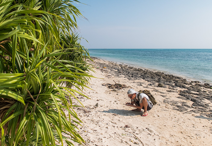 plage de Kaiji et son sable étoilé, Taketomi-jima, Okinawa