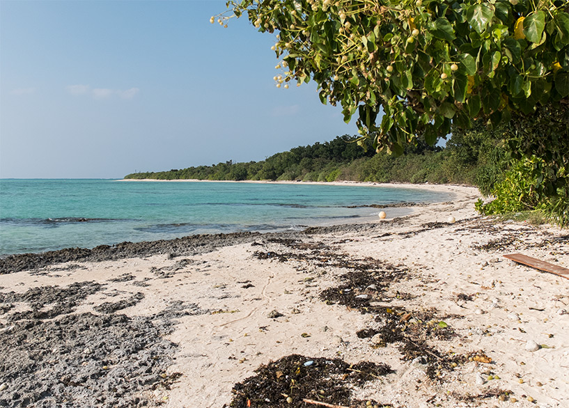 plage de Kaiji et son sable étoilé, Taketomi-jima, Okinawa