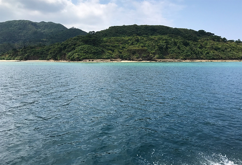 paysages d'Iriomote, Okinawa