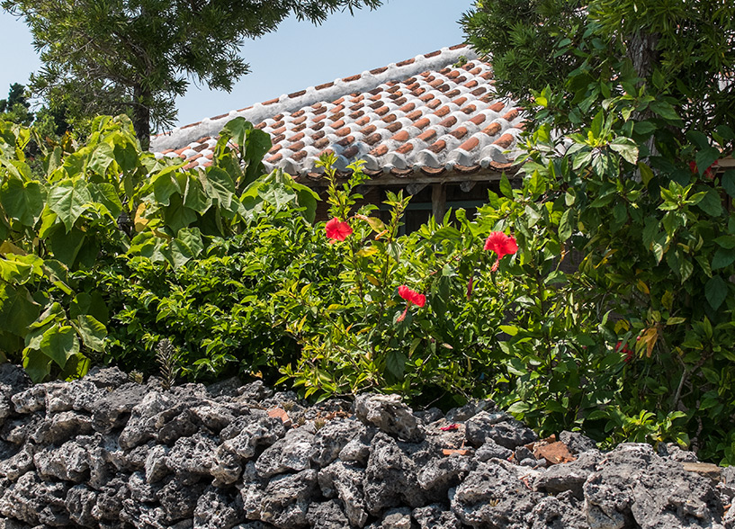 maison traditionnelle, muret de corail et hibiscus à Taketomi-jima, Okinawa