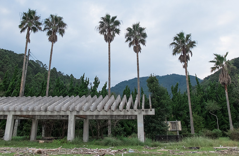 Palmiers, Ozuna Beach, Kaifu, Tokushima