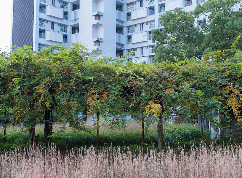 Grand ensemble d'habitations Motomachi, Hiroshima 市営基町高層アパート, jardins