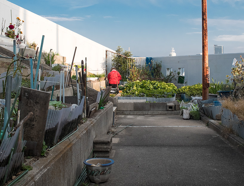 Jardins potagers sur les toits de Motomachi Hiroshima