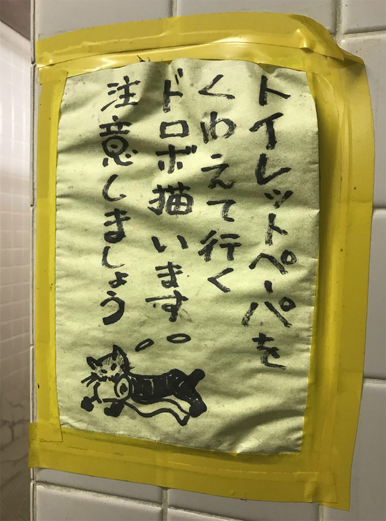 Chat voleur de papier toilettes