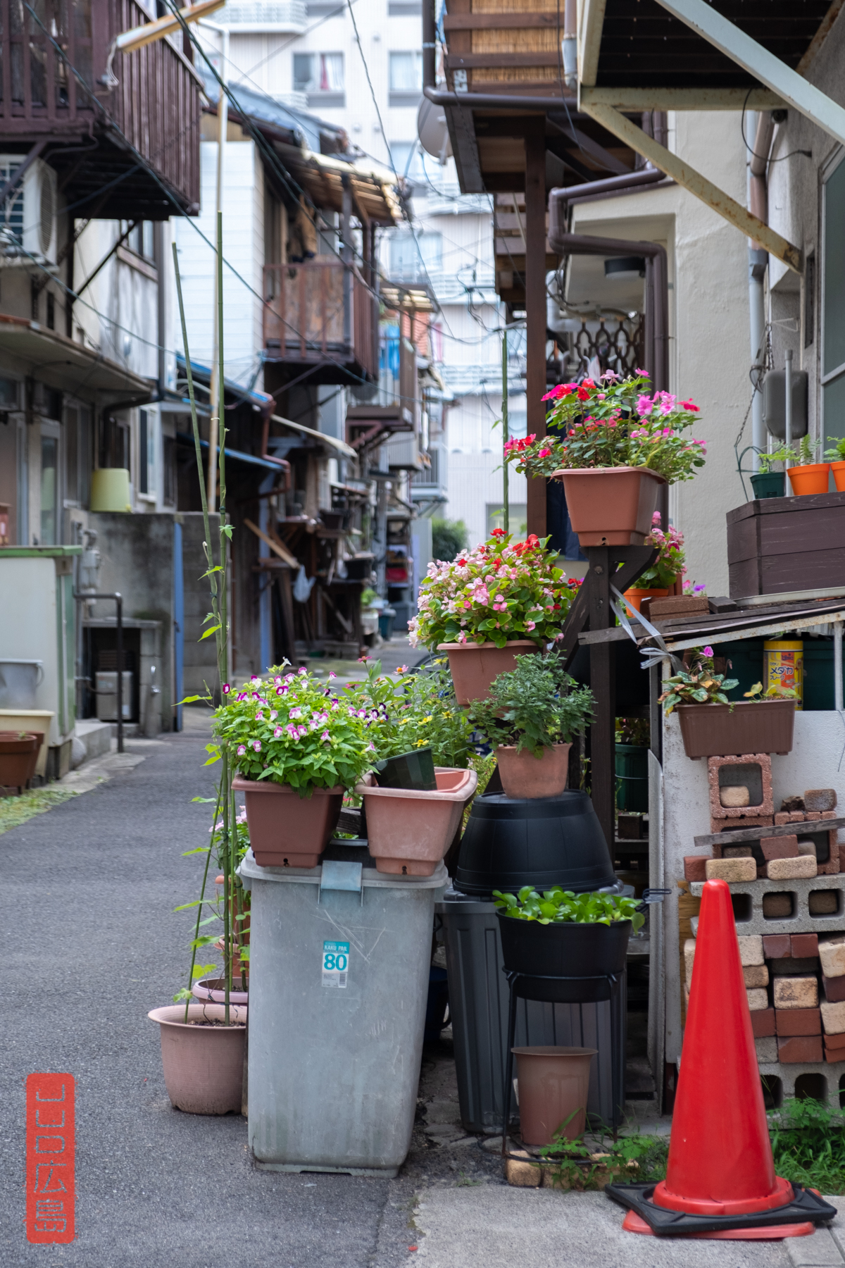 Hiroshima Wakakusa