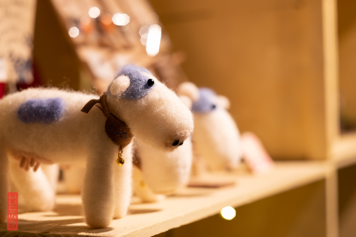 vache en feurtine, région Daisen et Tottori