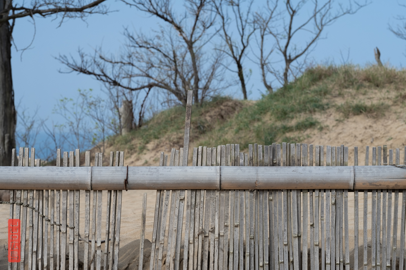 Dunes de Tottori