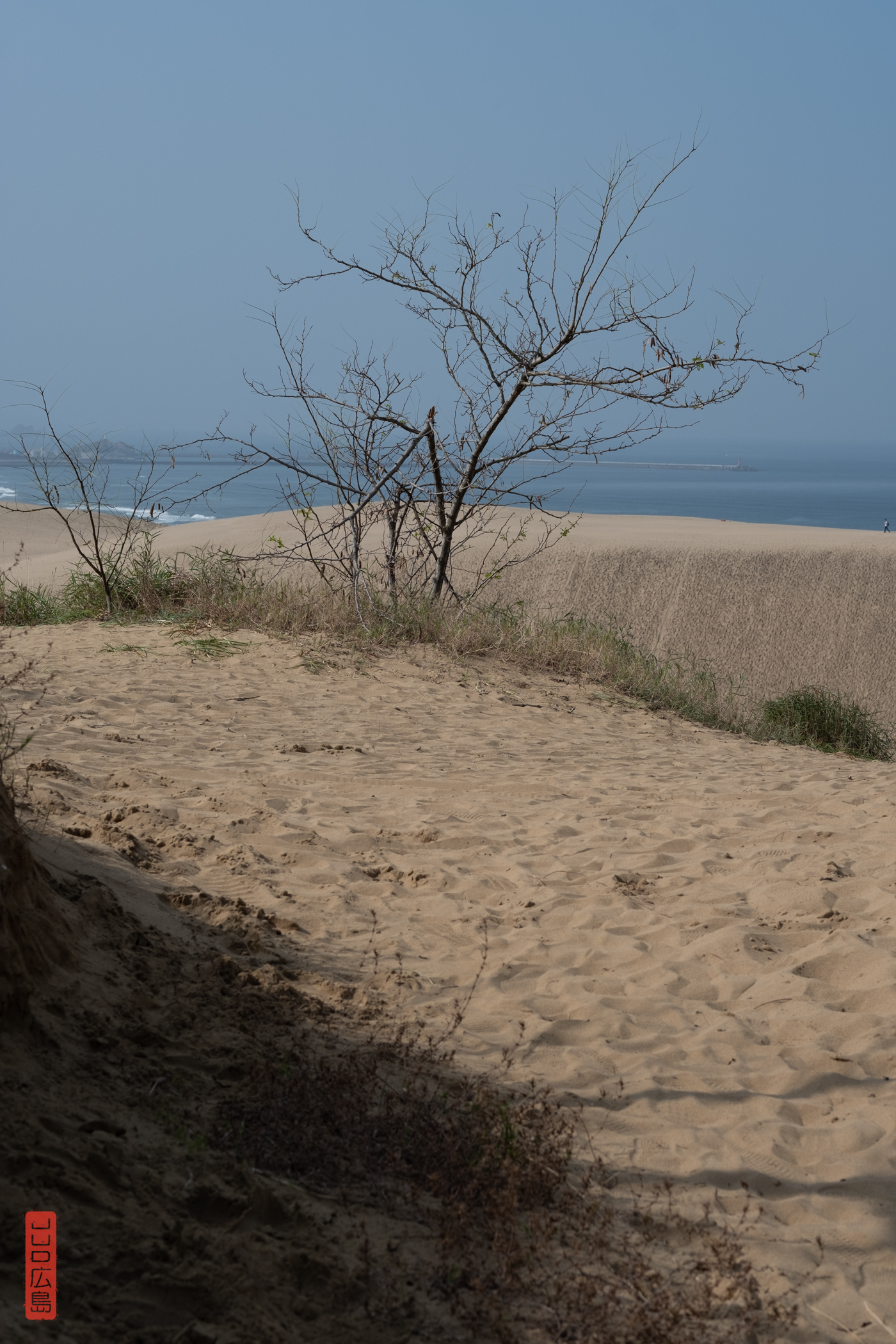 Dunes de Tottori