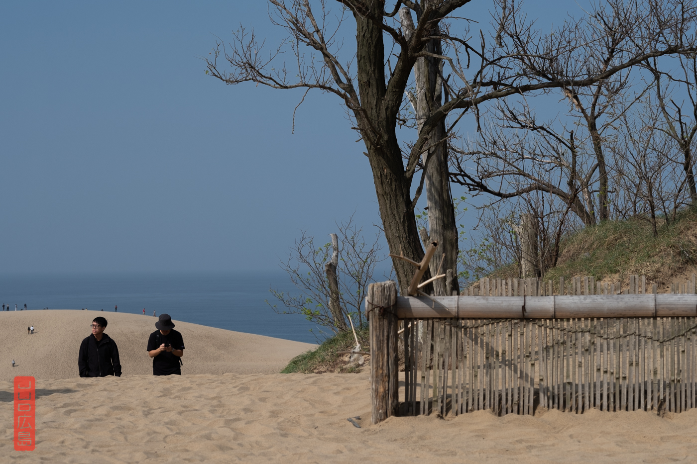 Dunes de Tottori