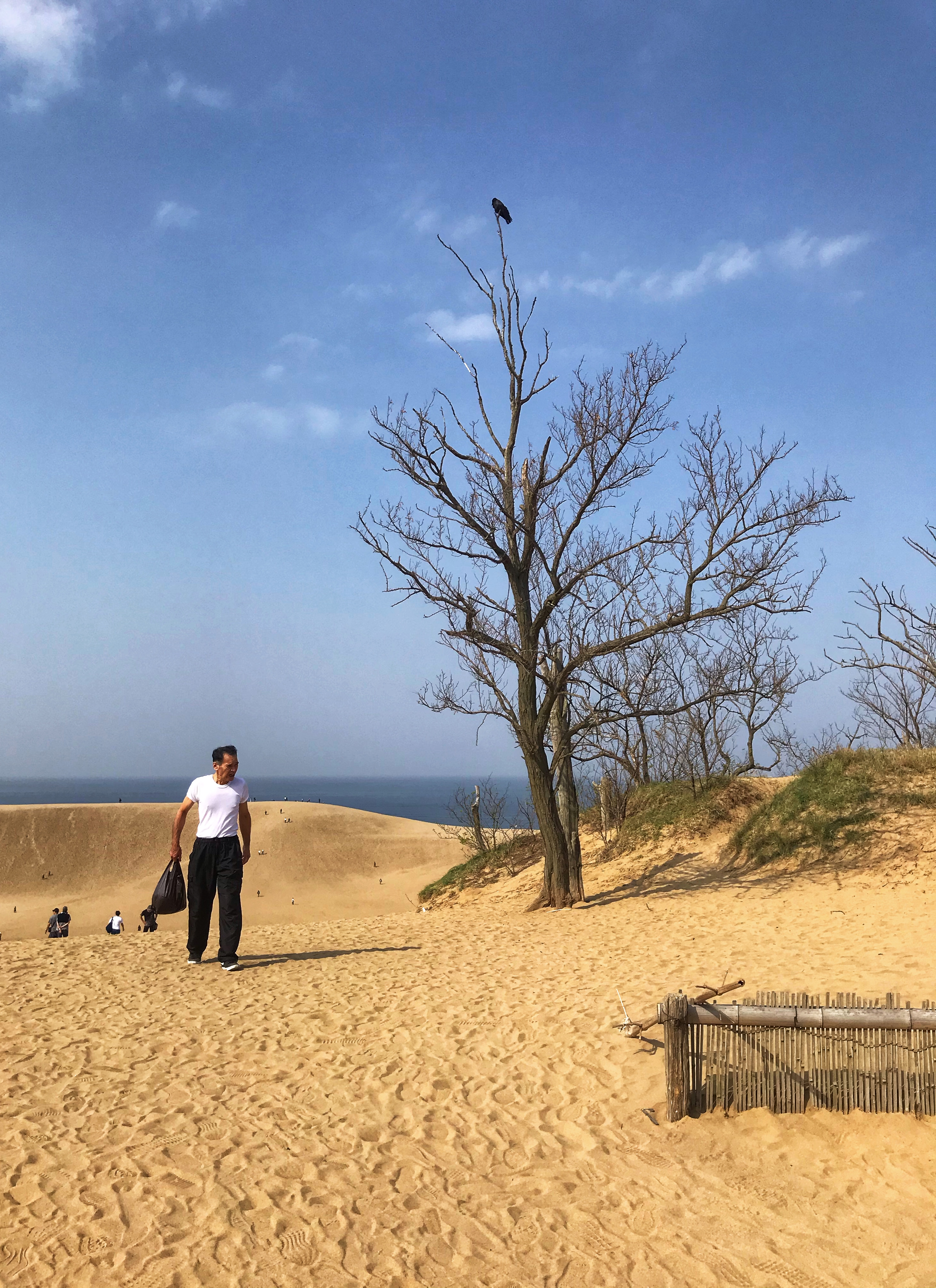 Dunes de Tottori