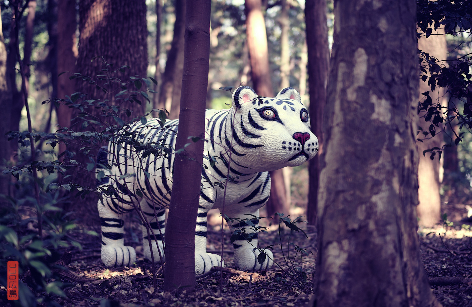 tigre dans le parc de Meiji Jingu, Tokyo, Japon