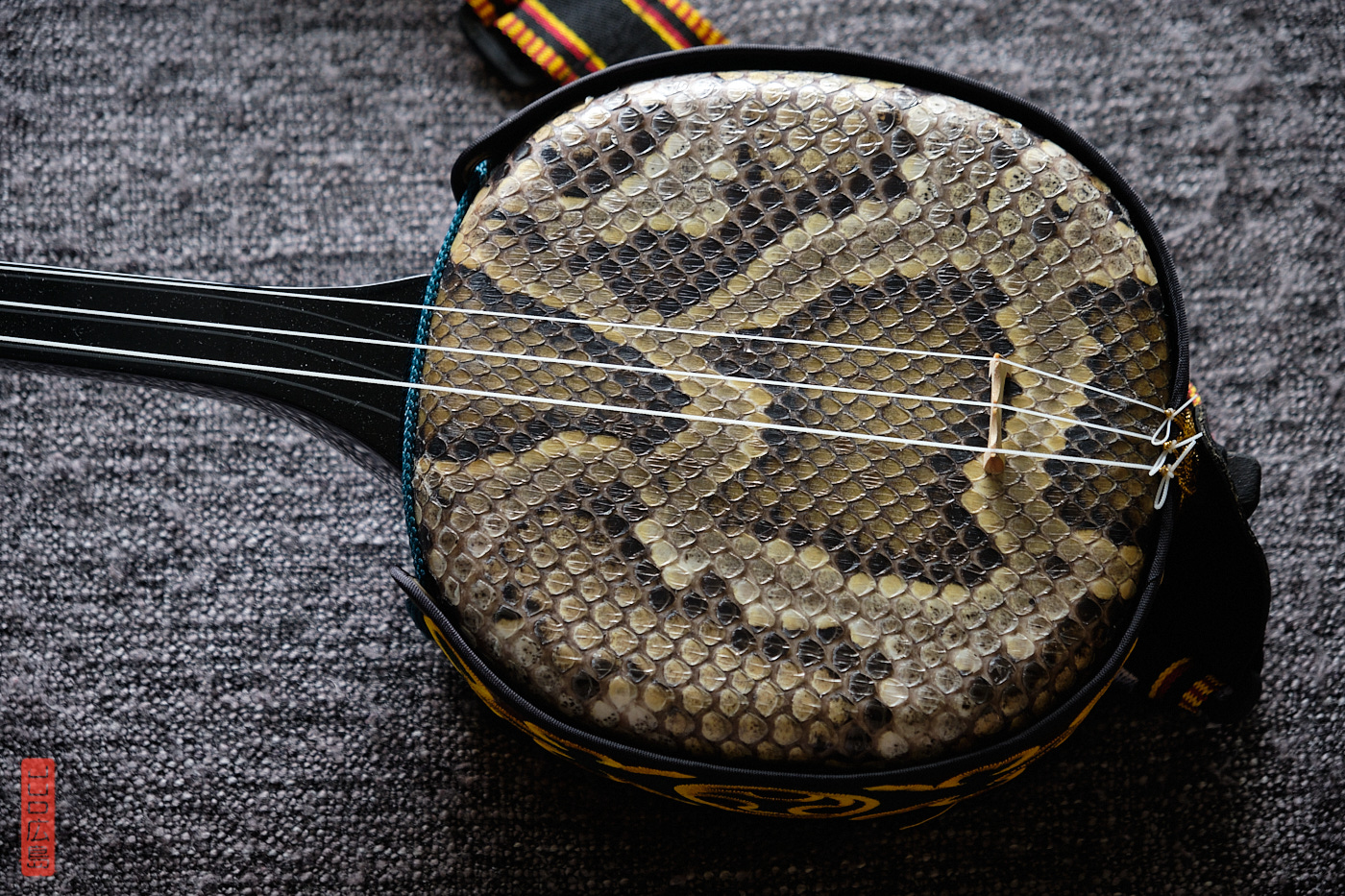 Le corps du sanshin, couvert de peau de serpent