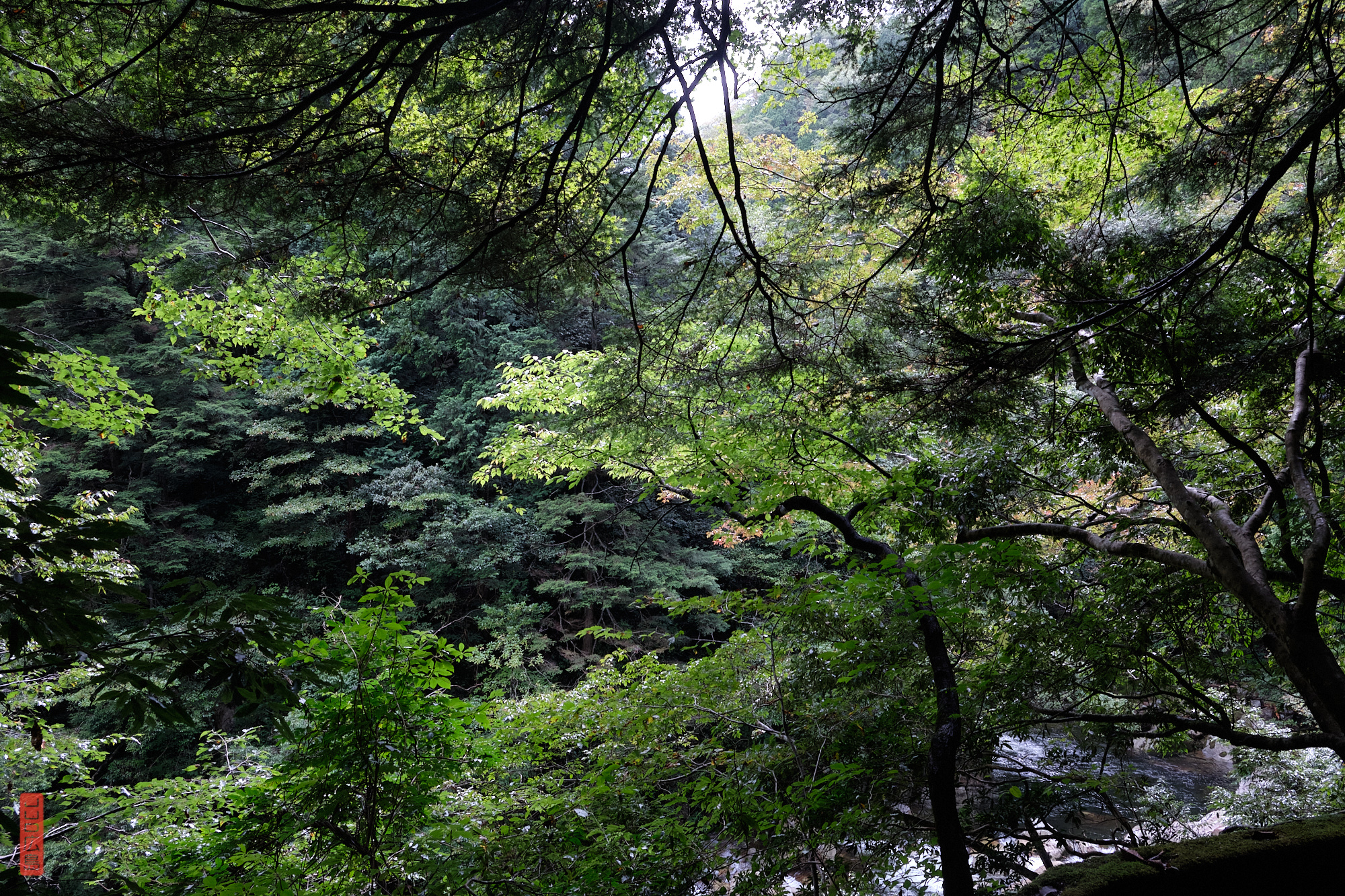 Randonnée au Japon Sandankyo, sentier de Nidandaki