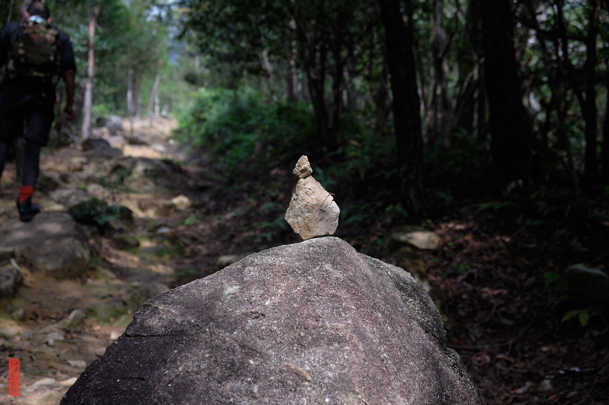 Chemin de randonnée du mont Shirakiyama