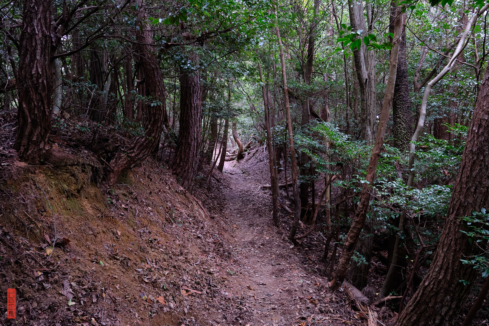 sentier de randonnée Hiroshima