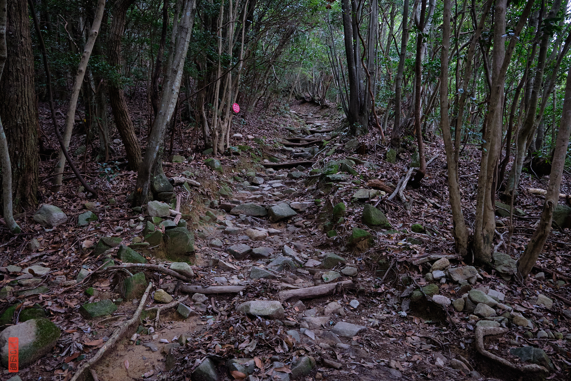 Chemin de randonnée, Mont Shirakiyama